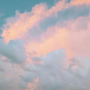 鉴定师在线观看免费网站
