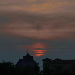 鉴定师在线观看免费网站
