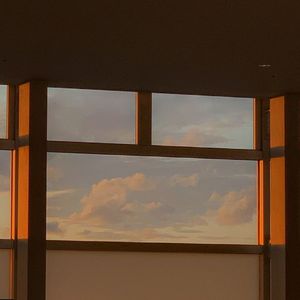 鉴定师在线观看免费网站
