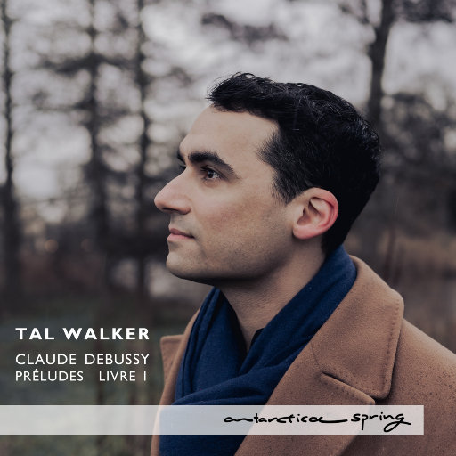 鉴定师在线观看免费网站
